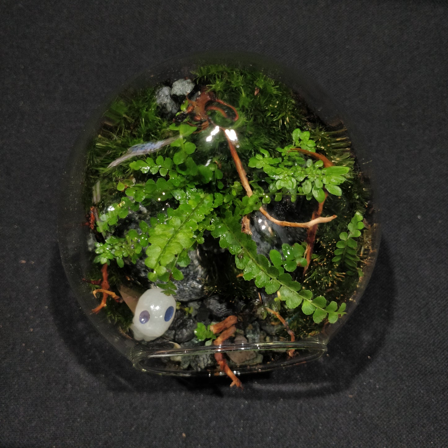 Fantasy Forest - FF030