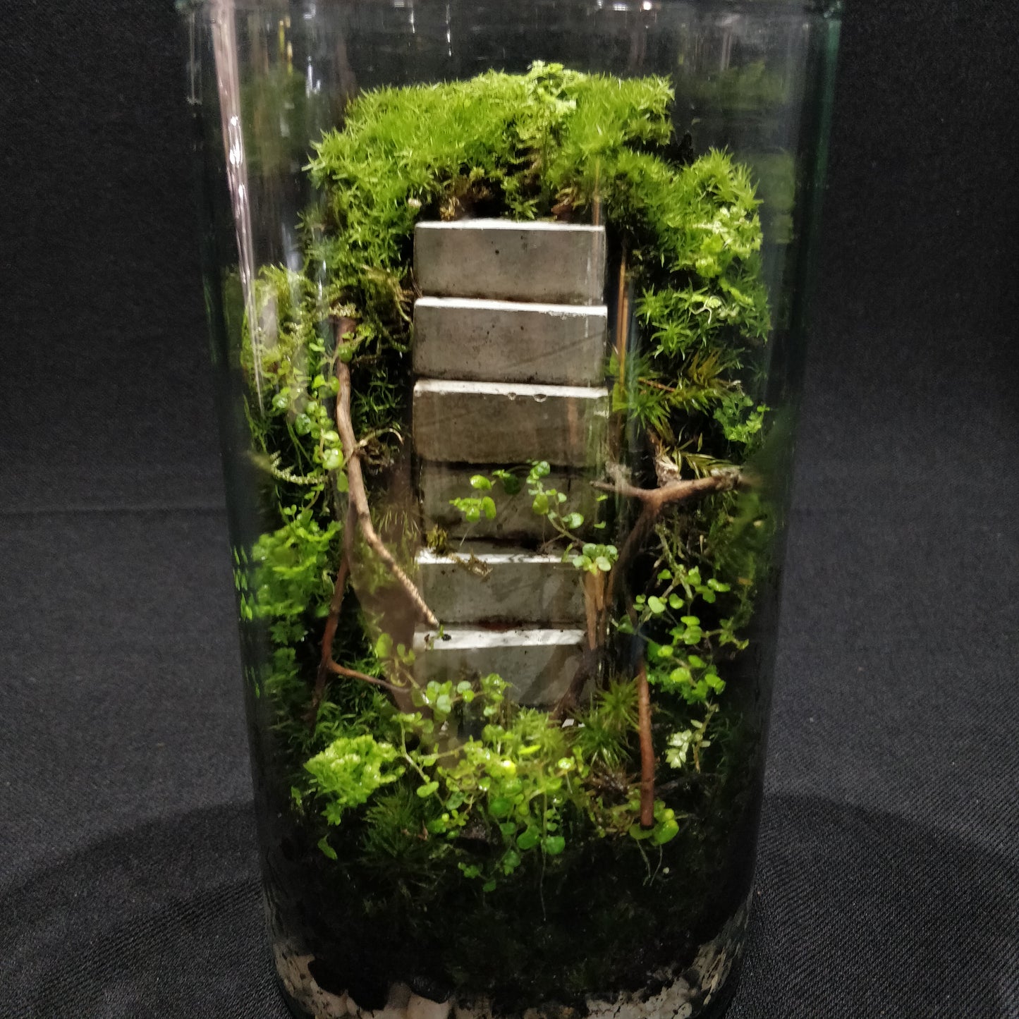 Nature Scape - NS077