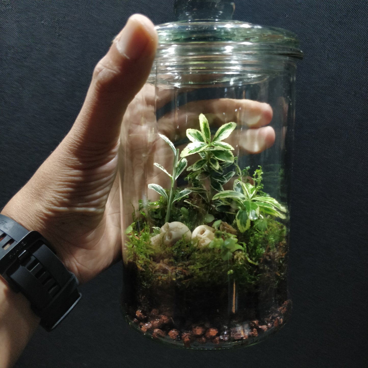 Nature Scape - NS088