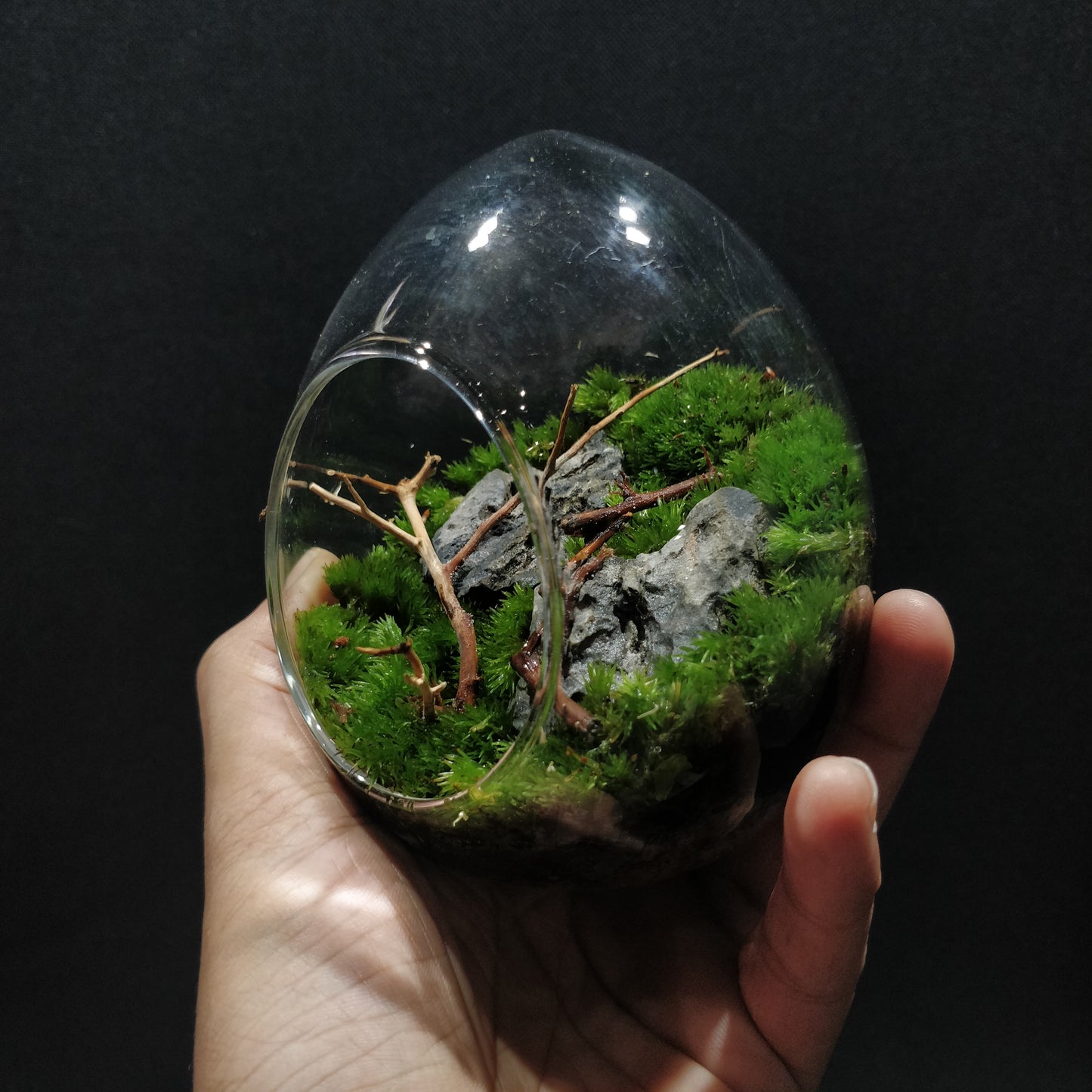 Nature Scape - NS097