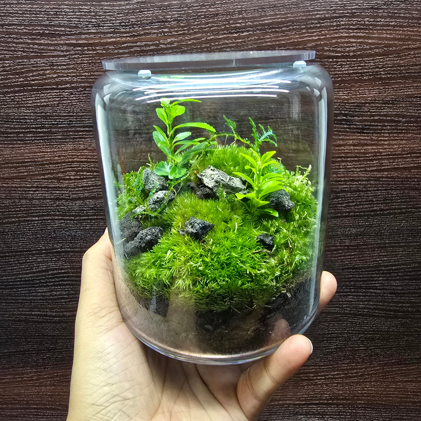 Nature Scape - NS118