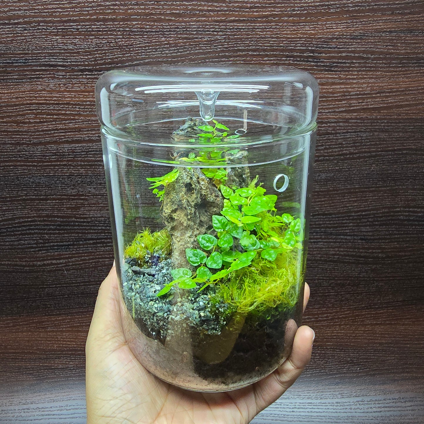 Nature Scape - NS125