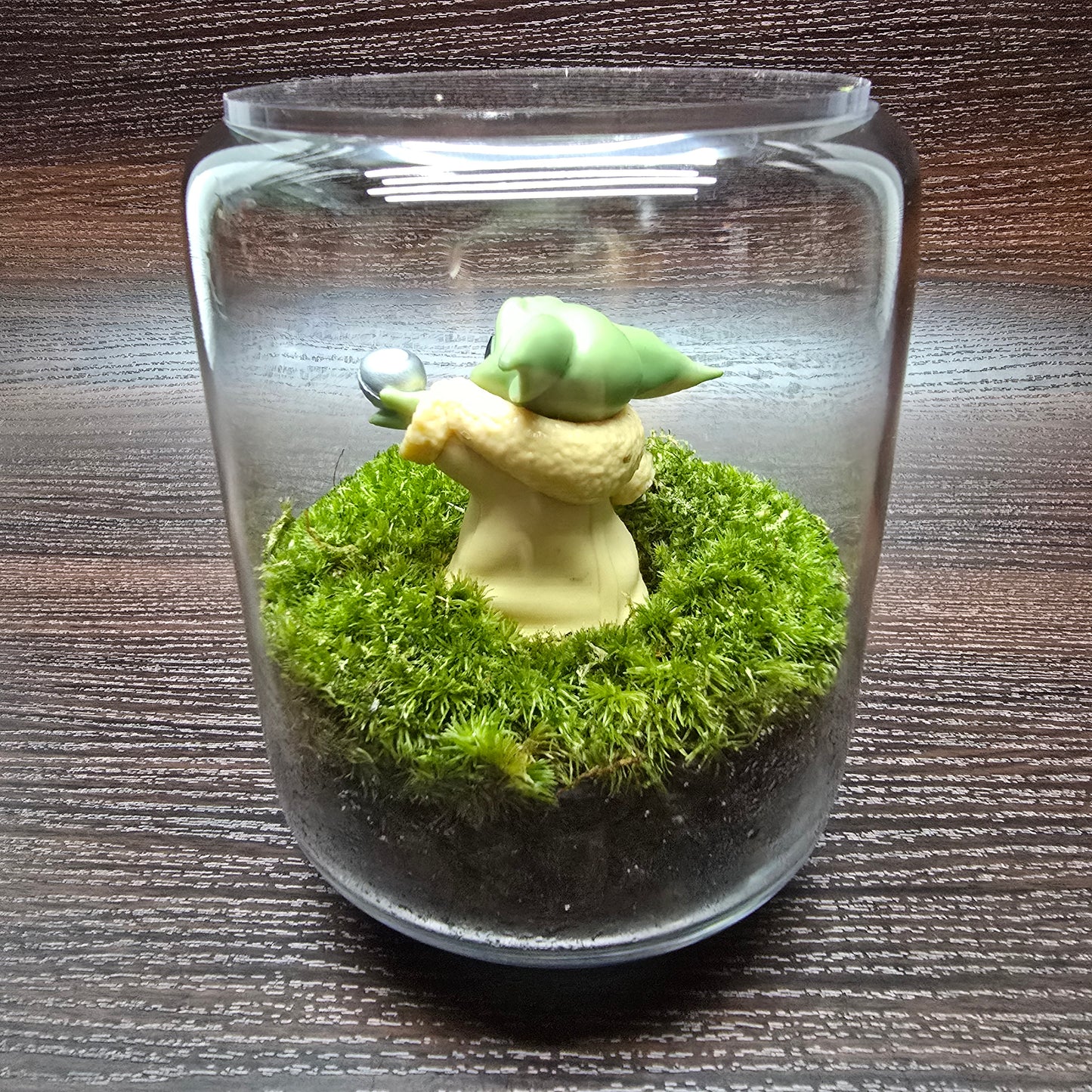 Nature Scape - NS119