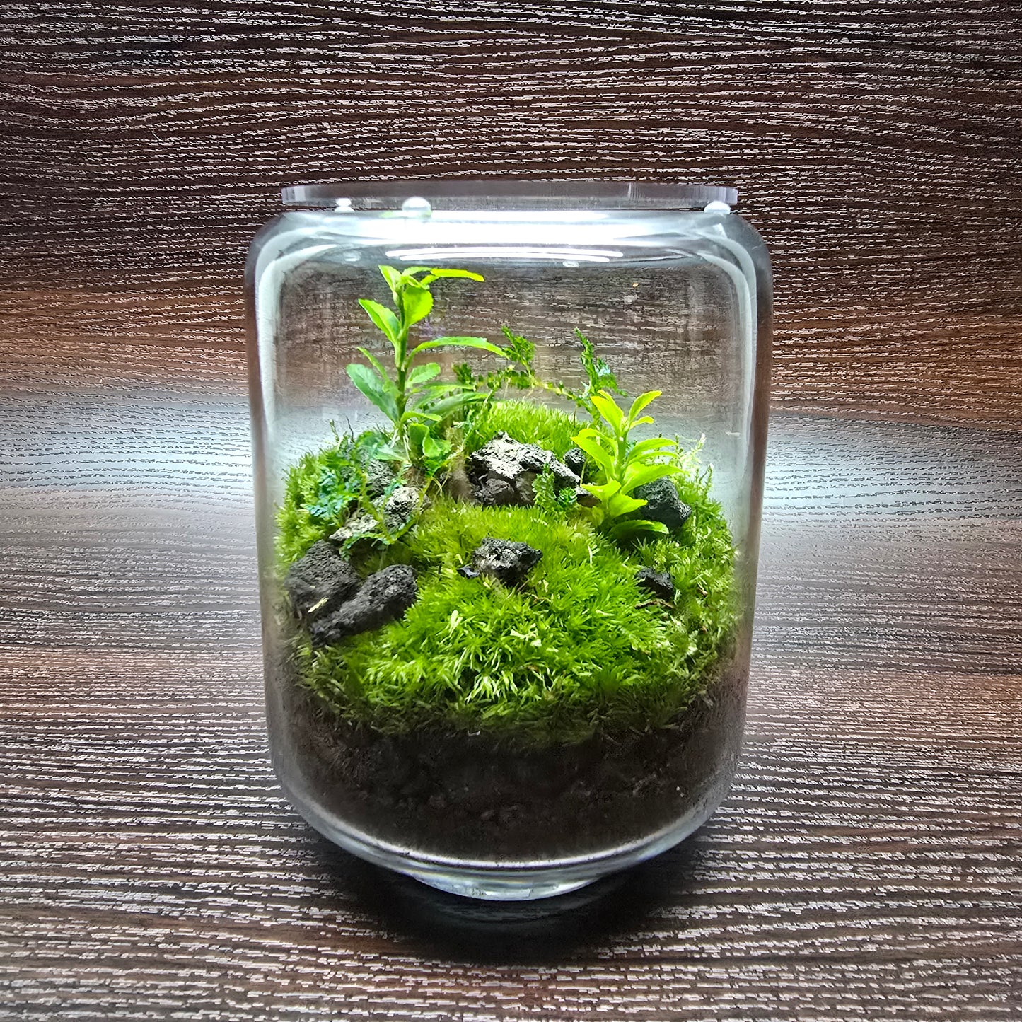 Nature Scape - NS118