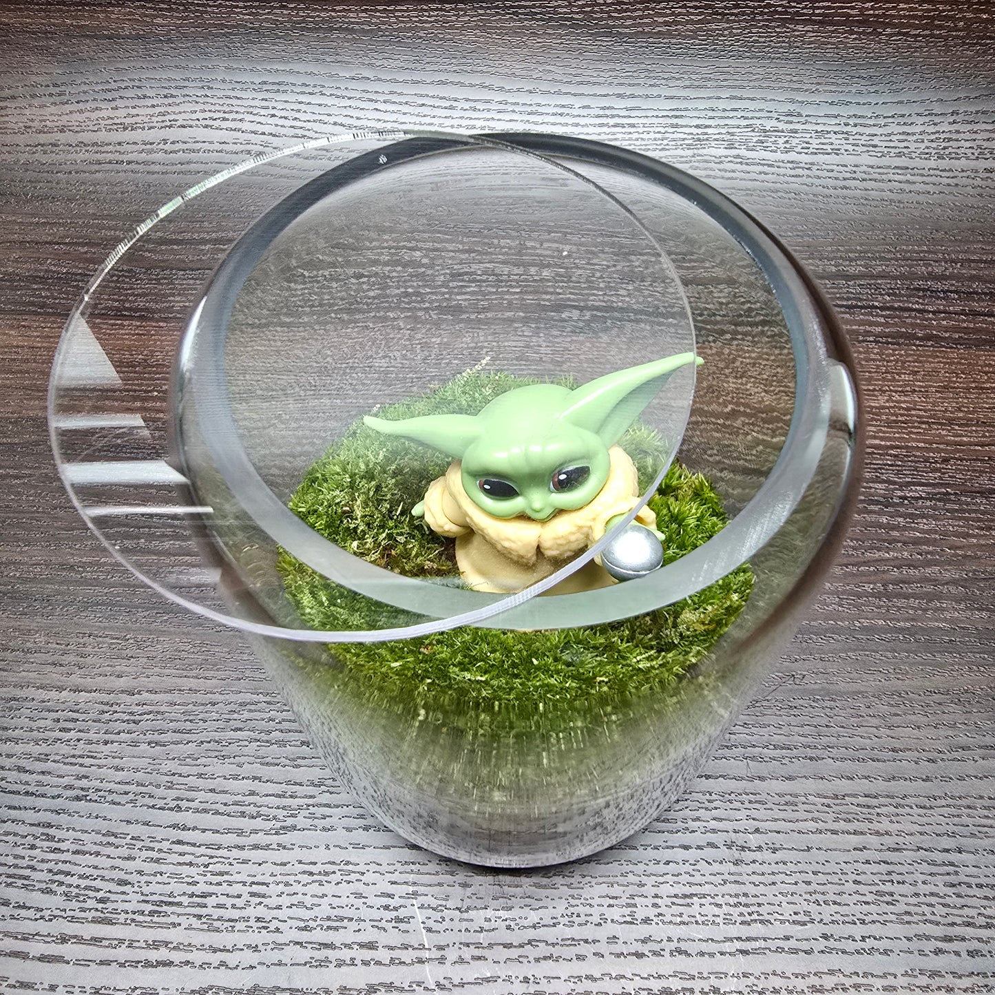 Nature Scape - NS119