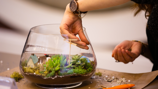 How to Create a Self-Sustaining Closed Ecosystem Terrarium