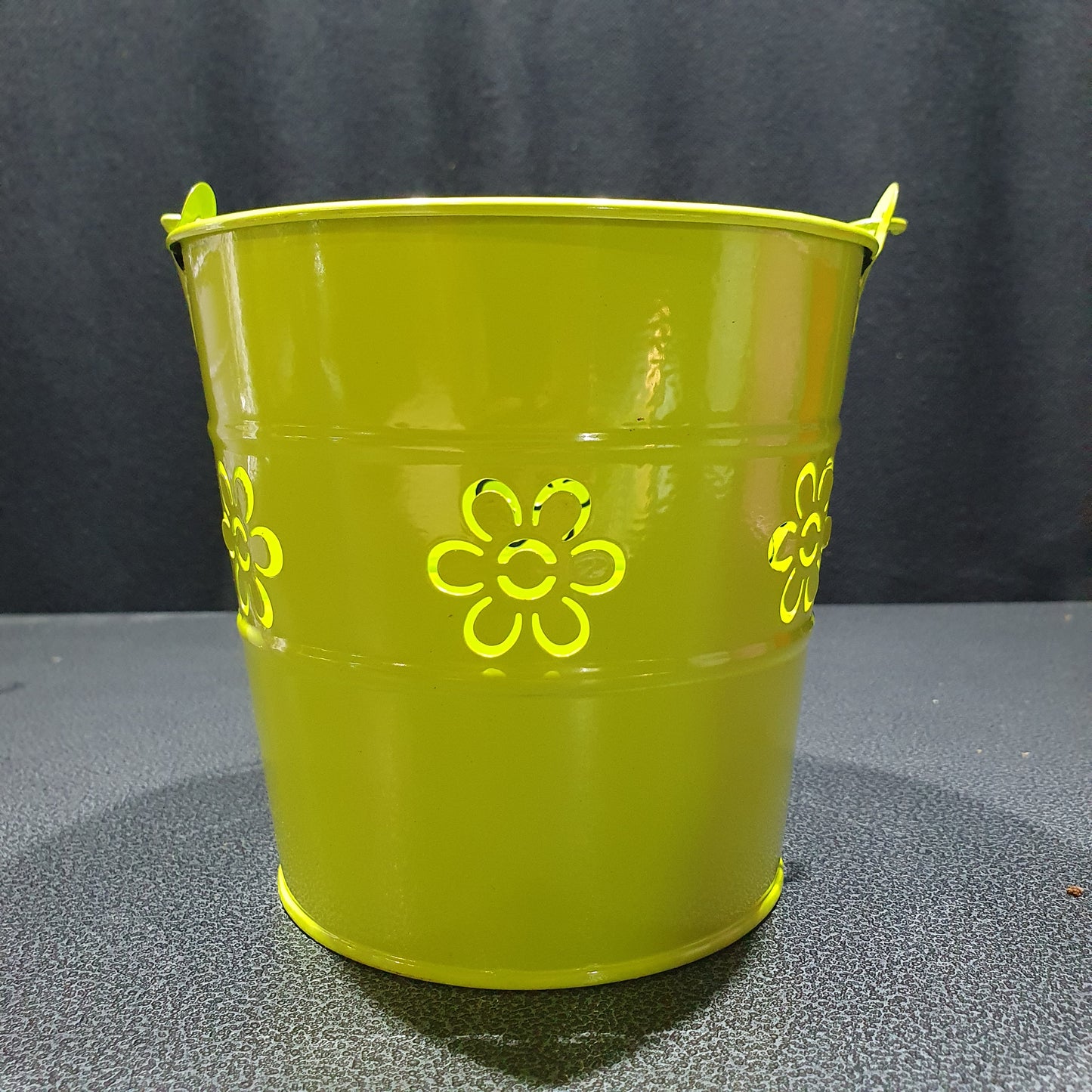 Steel Bucket Planter