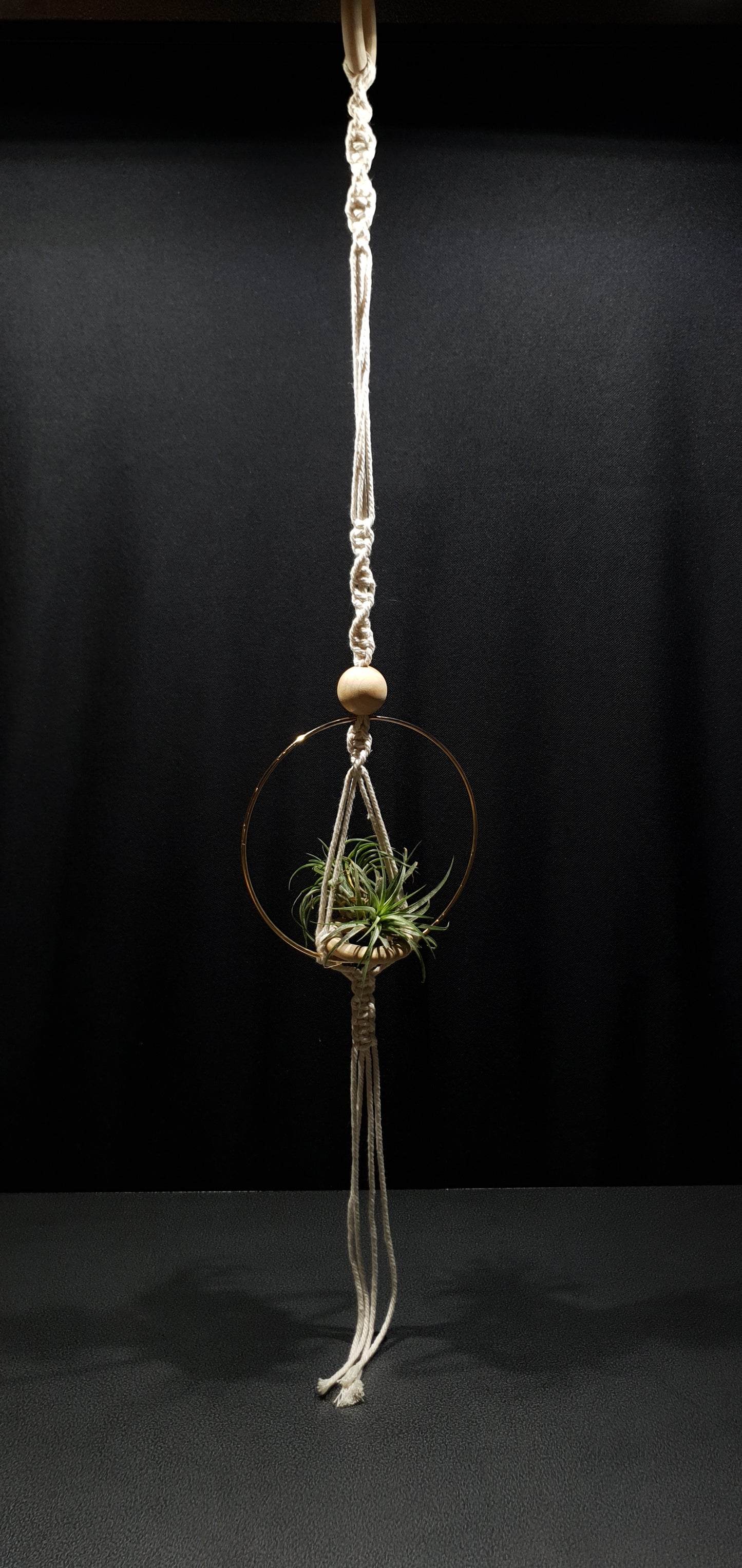 Airplant Hangers by Bead.