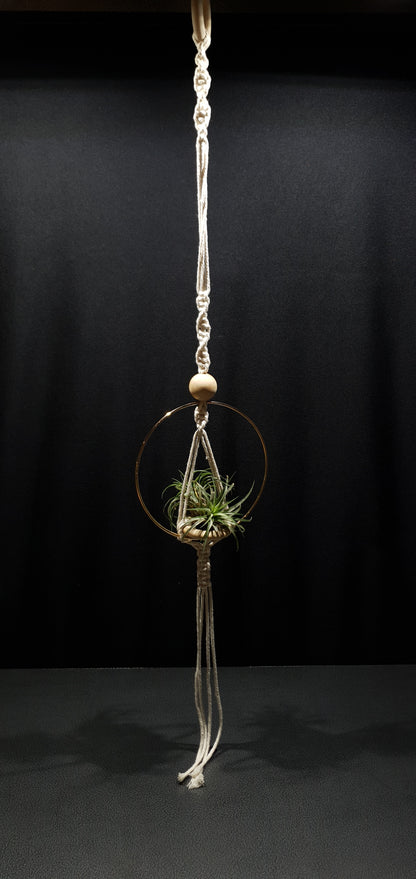 Airplant Hangers by Bead.