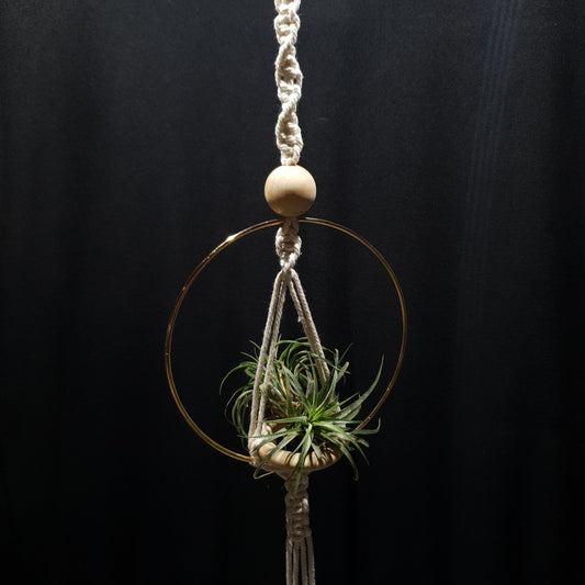 Airplant Hangers by Bead.