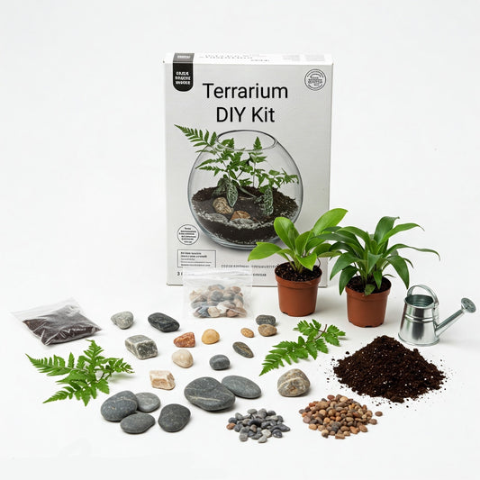 Terrarium DIY Kit - Without Container