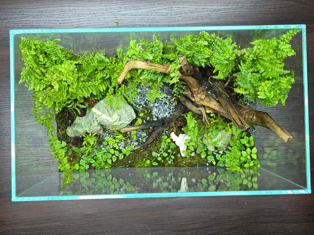 Nature Scape - NS117