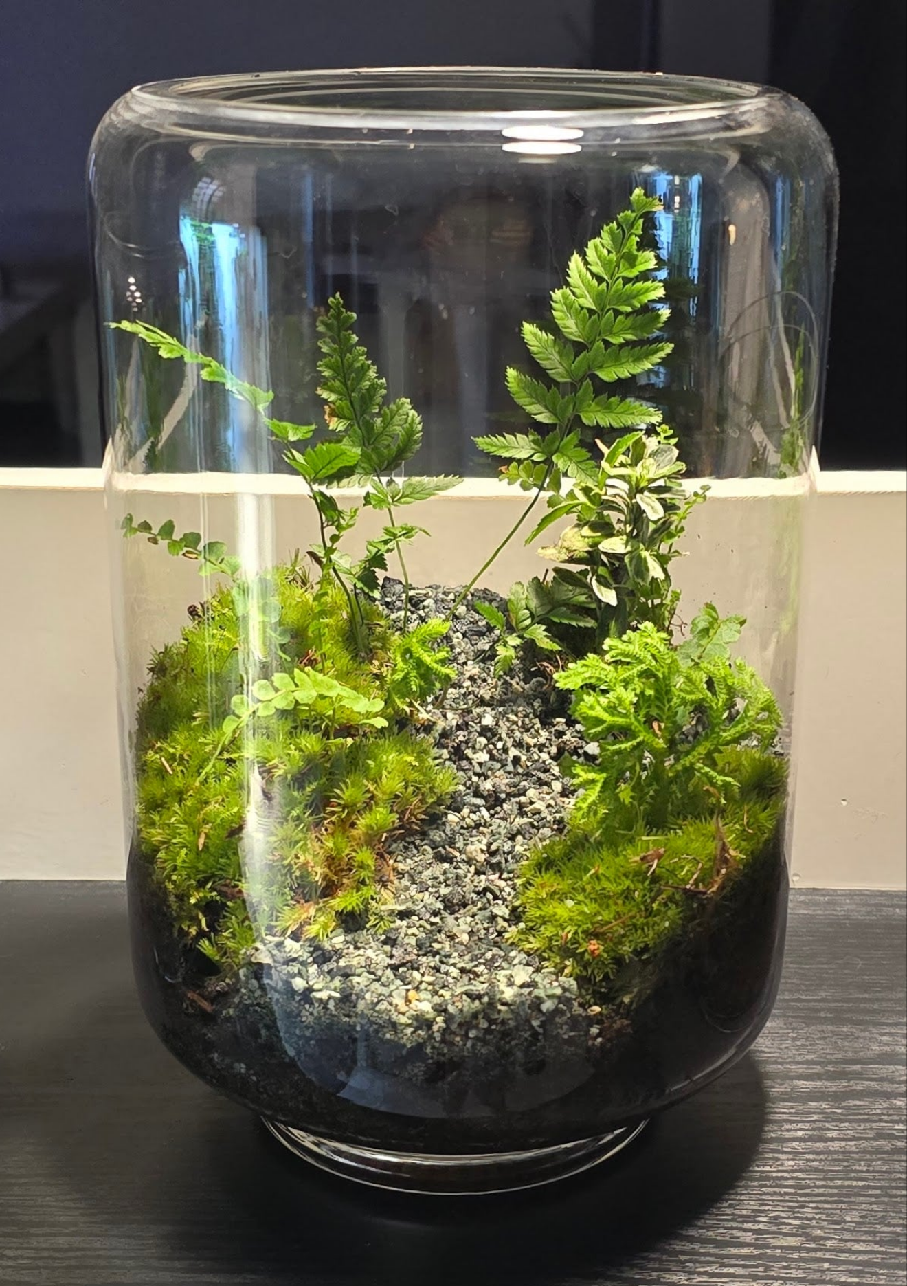 Terrarium DIY Kit - Container C: Ø17 x 26cm