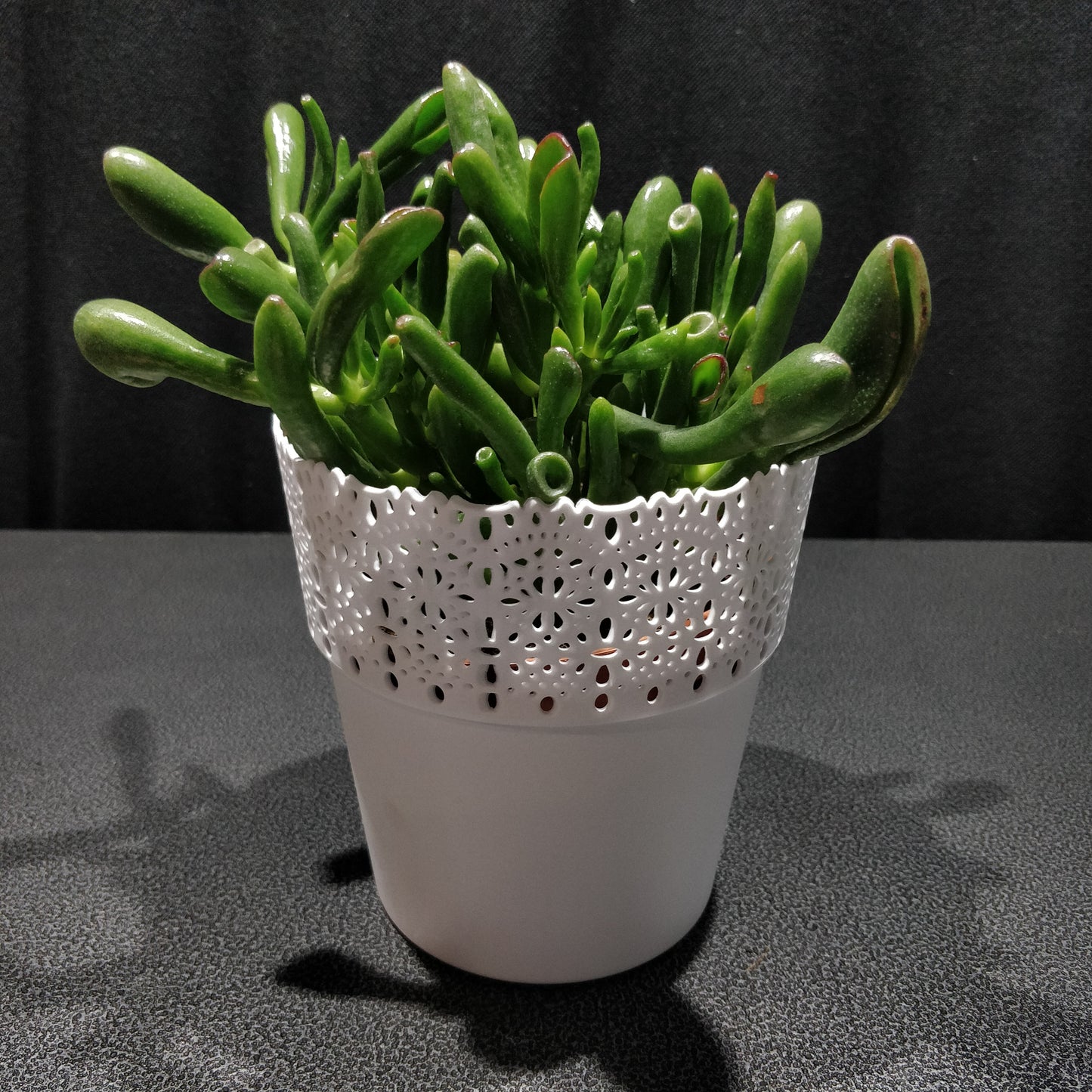 Cut-Out Design Plastic Planter Pot