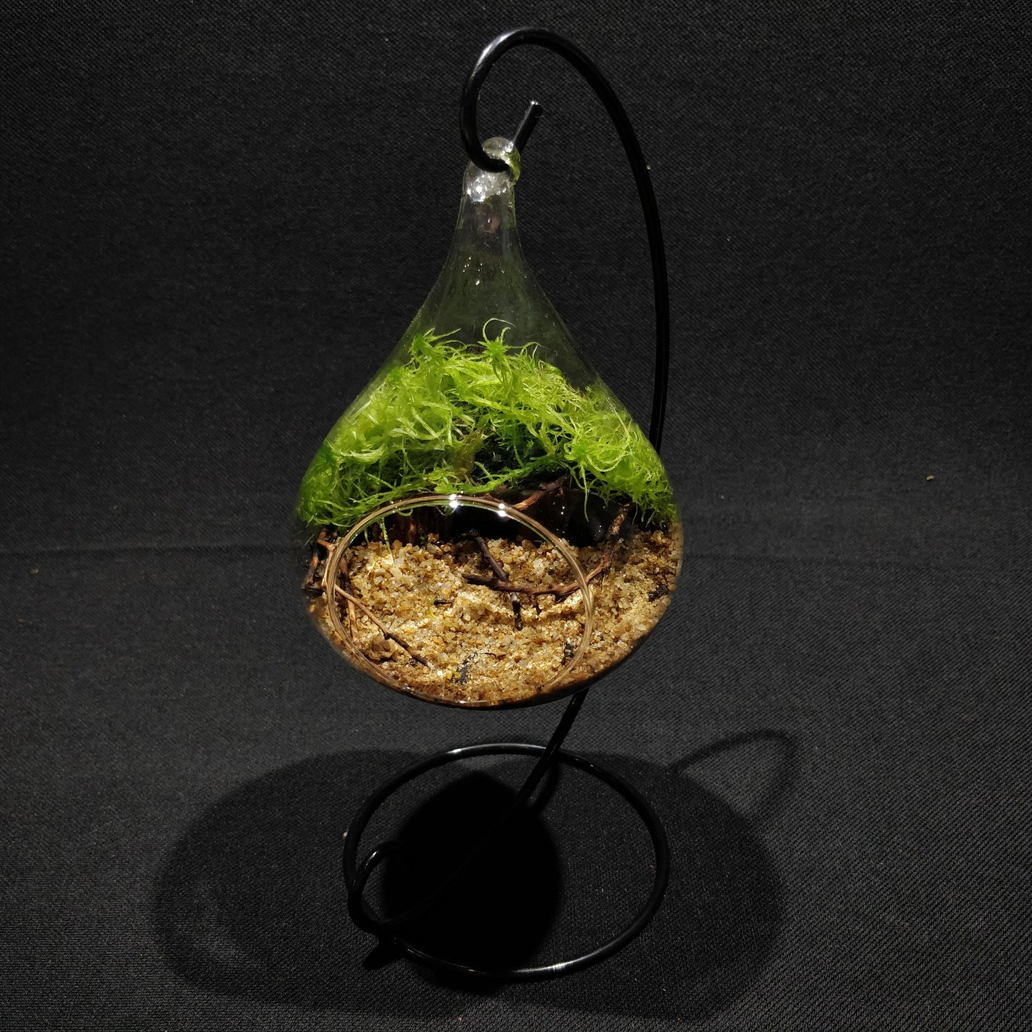 Terrarium Display Stand