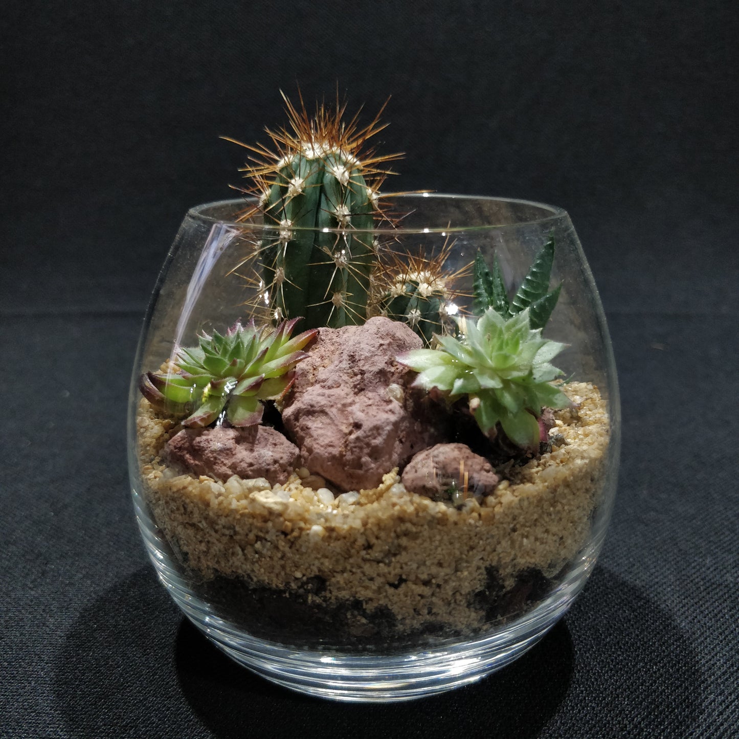 Desert Terrarium - DT005