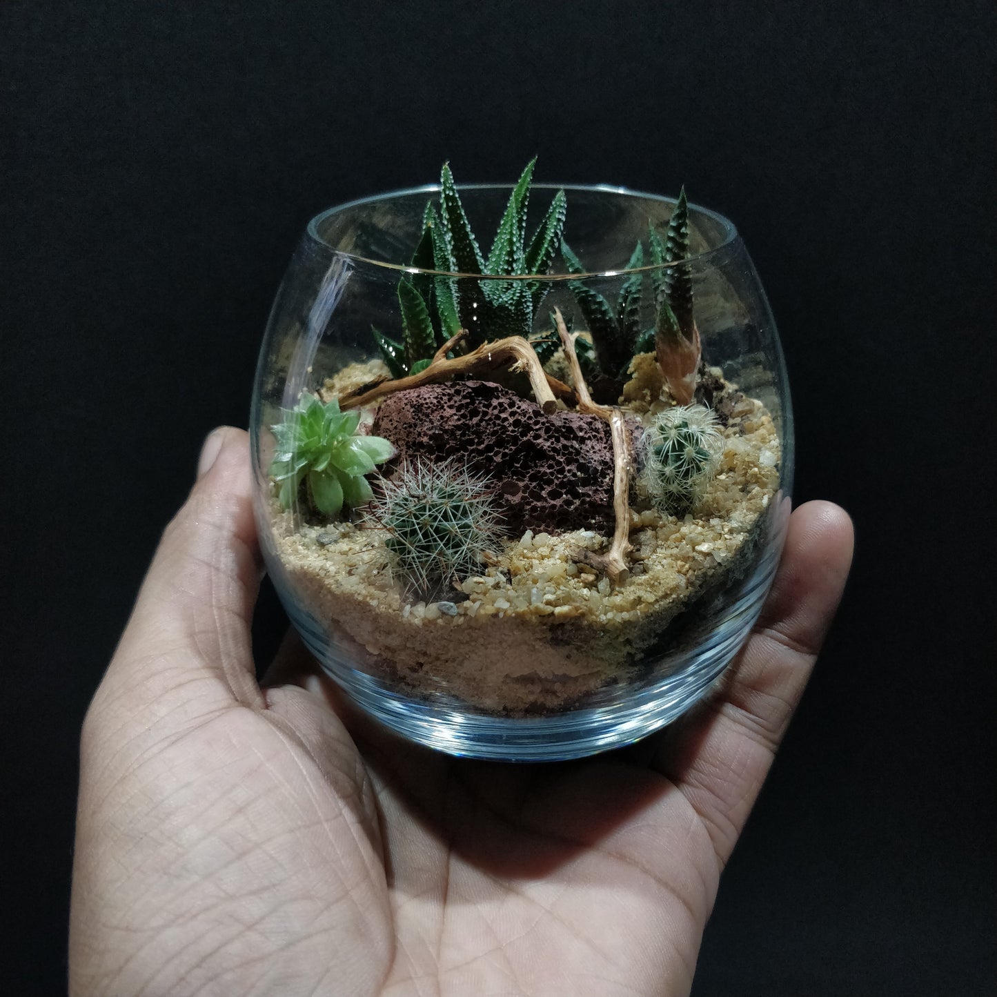 Desert Terrarium - DT006