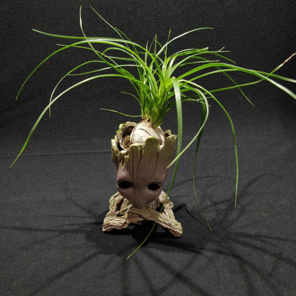 Baby Groot Planter