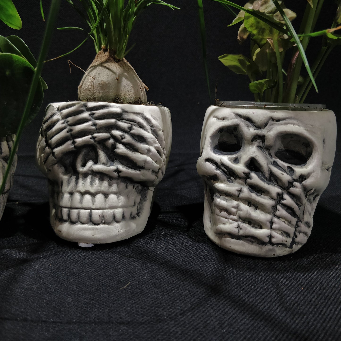 Skull Planter - Ceramic