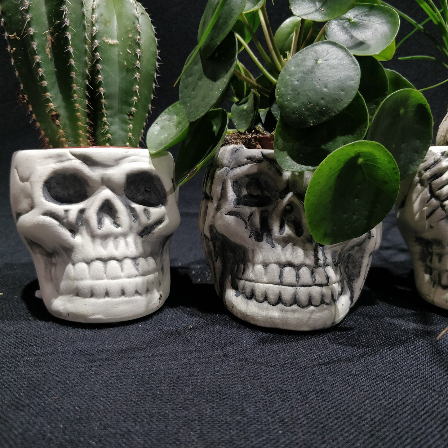 Skull Planter - Ceramic