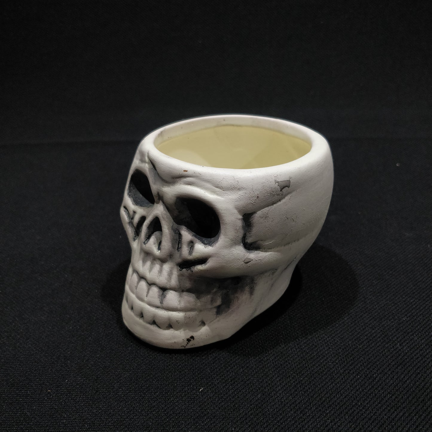 Skull Planter - Ceramic