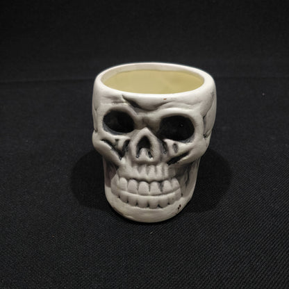 Skull Planter - Ceramic