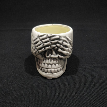 Skull Planter - Ceramic