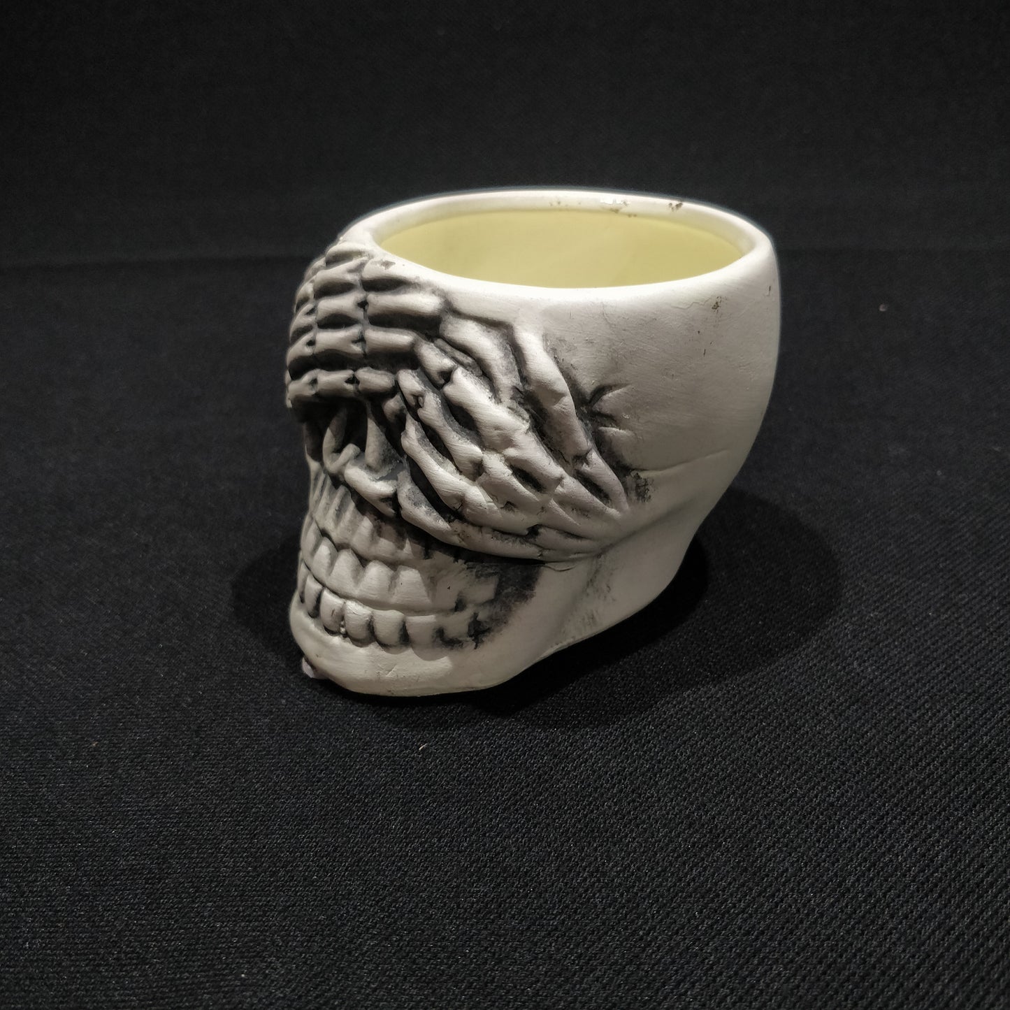 Skull Planter - Ceramic