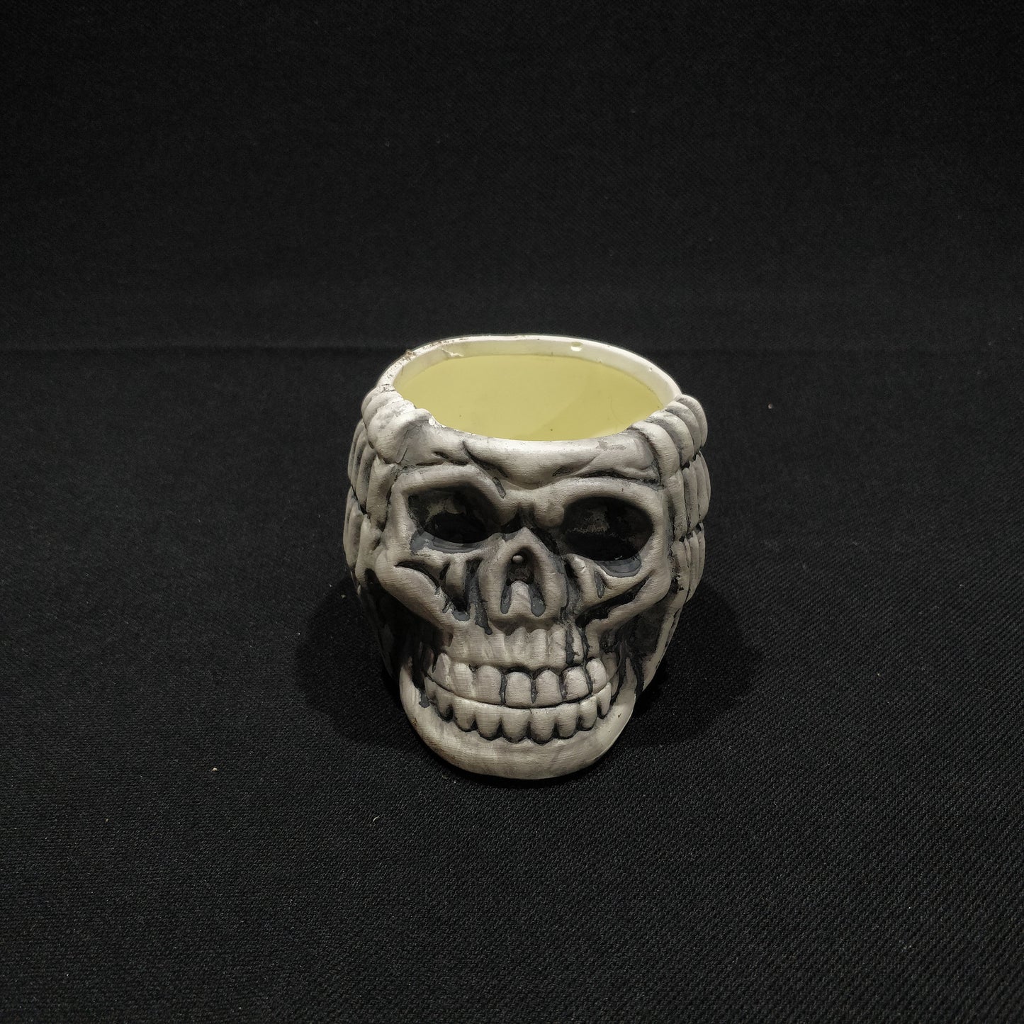 Skull Planter - Ceramic