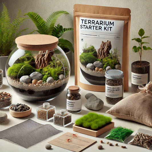 Terrarium DIY Kit - Container B: Ø17 x 13cm