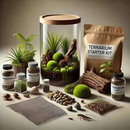 Terrarium DIY Kit - Container C: Ø17 x 26cm