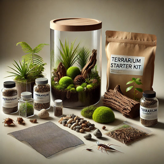Terrarium DIY Kit - Container C: Ø17 x 26cm