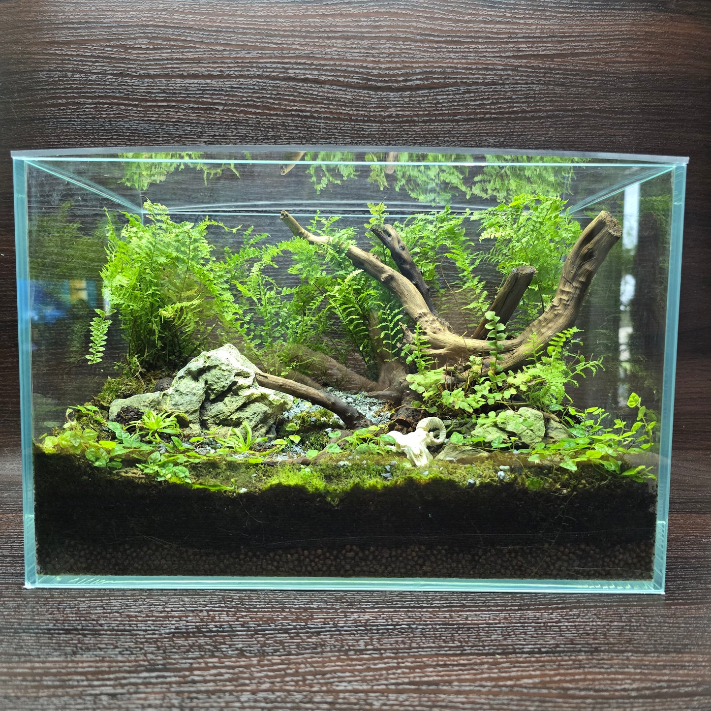Nature Scape - NS117