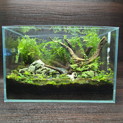 Nature Scape - NS117