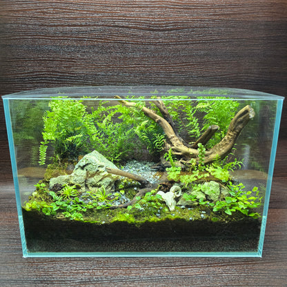 Nature Scape - NS117